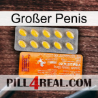 Großer Penis new05